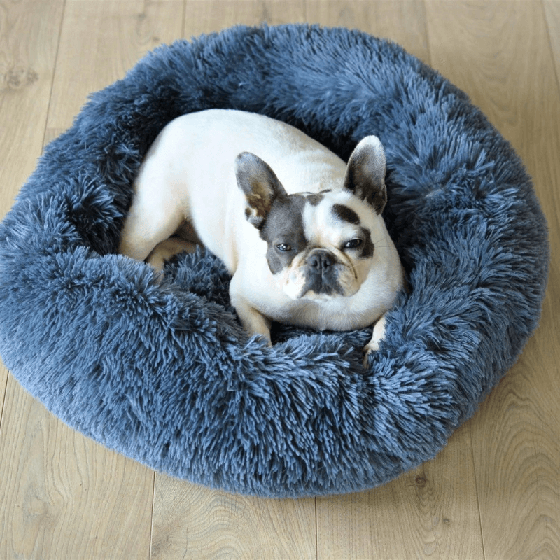 CanineComfort™ Canine Cloud