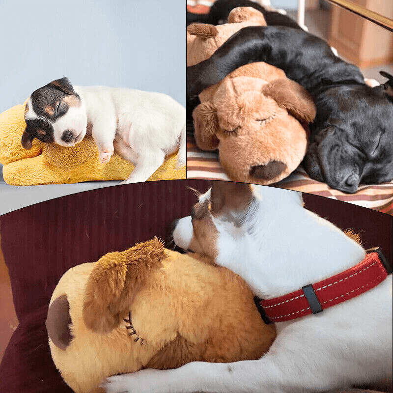 CanineComfort™ Canine Companion