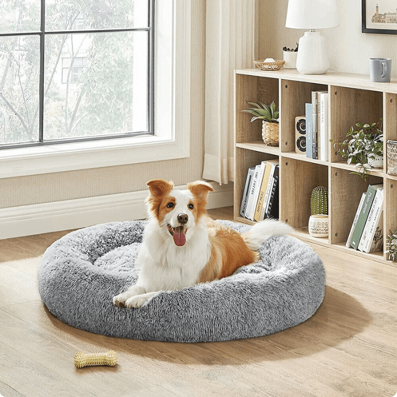 CanineComfort™ Canine Cloud