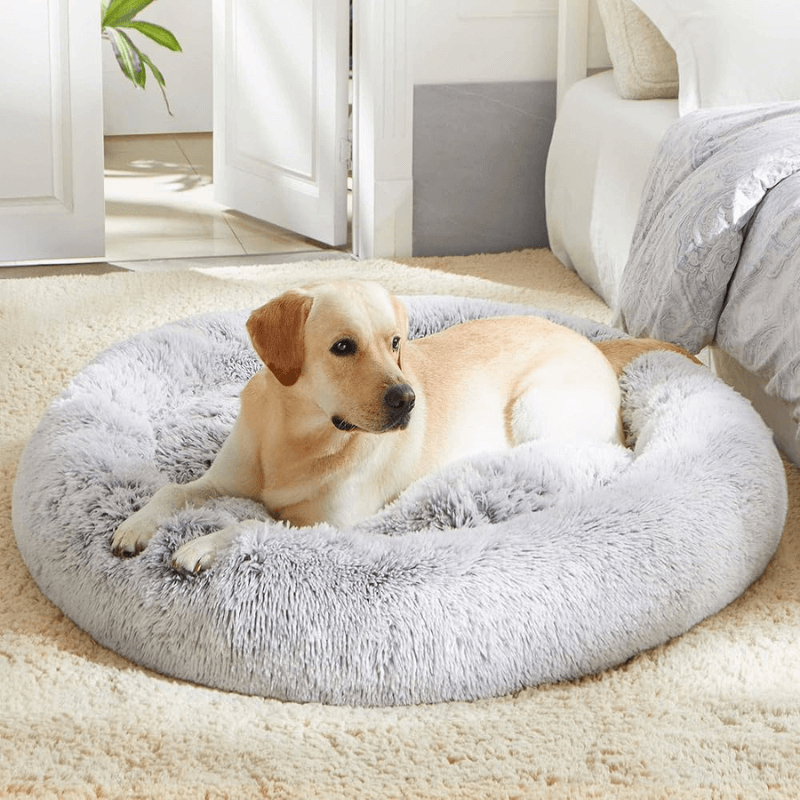 CanineComfort™ Canine Cloud